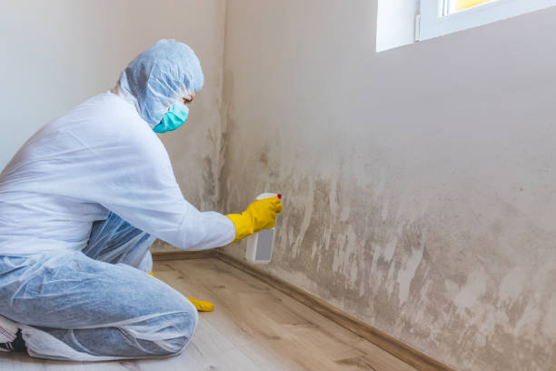 Commercial Mold Remediation assessment for commercial property in Rockaway