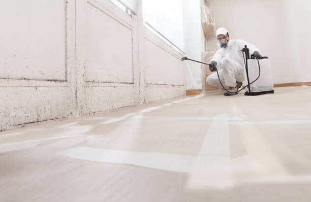 Black mold remediation team in Rockaway